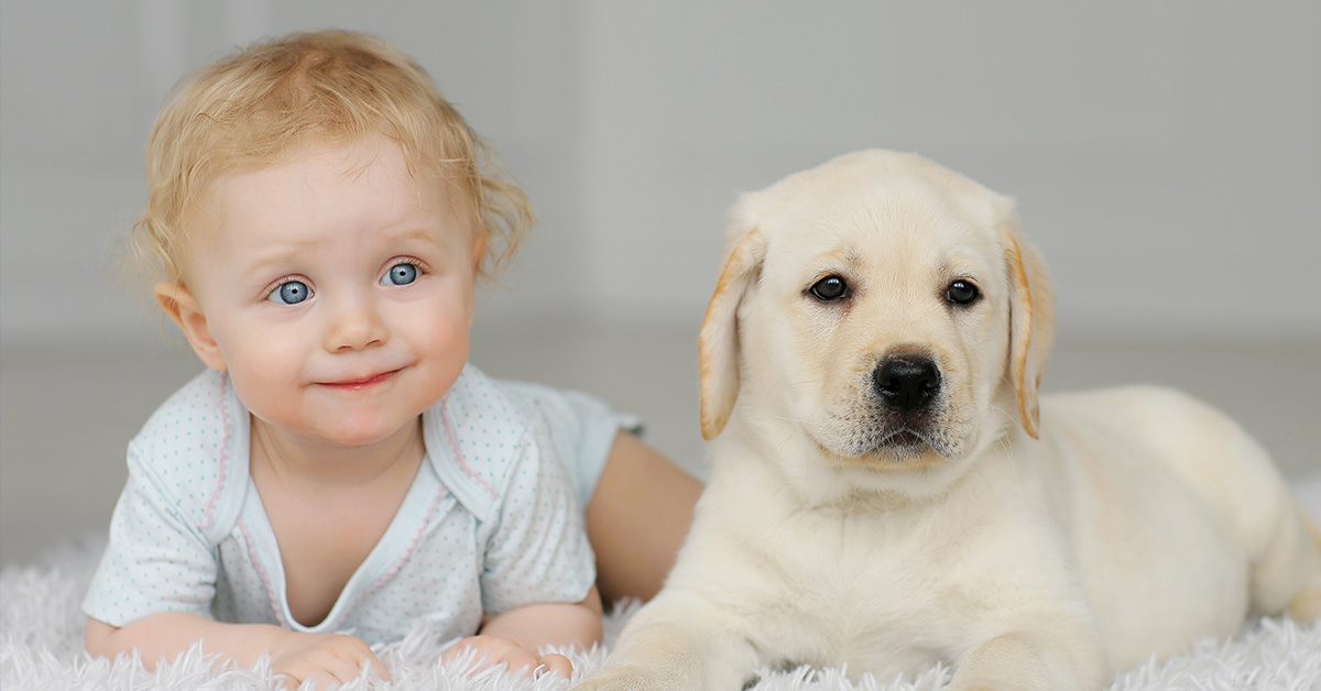child with dog