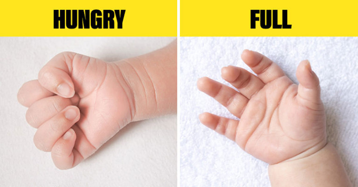 understand your baby