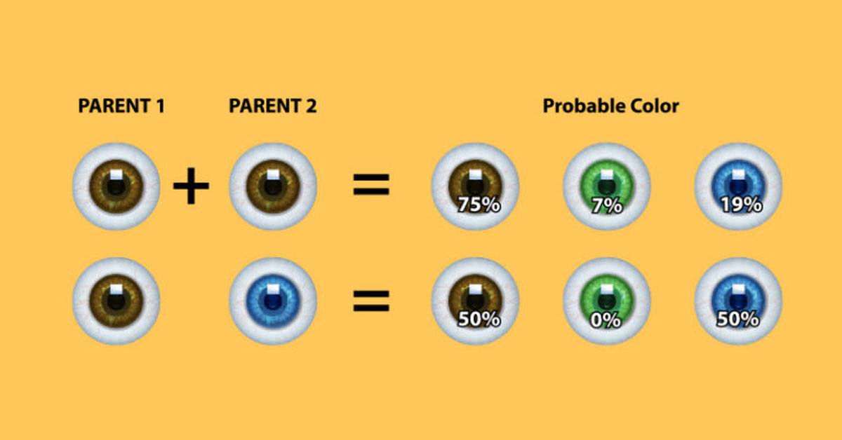 eye genetics