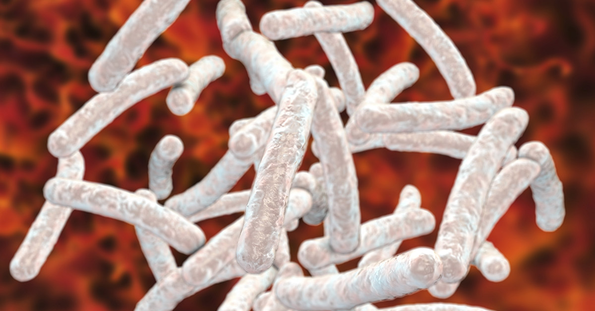 respiratory syncytial virus