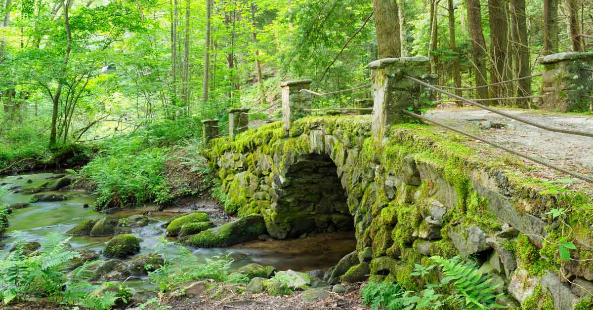 old bridge overgrown with moss