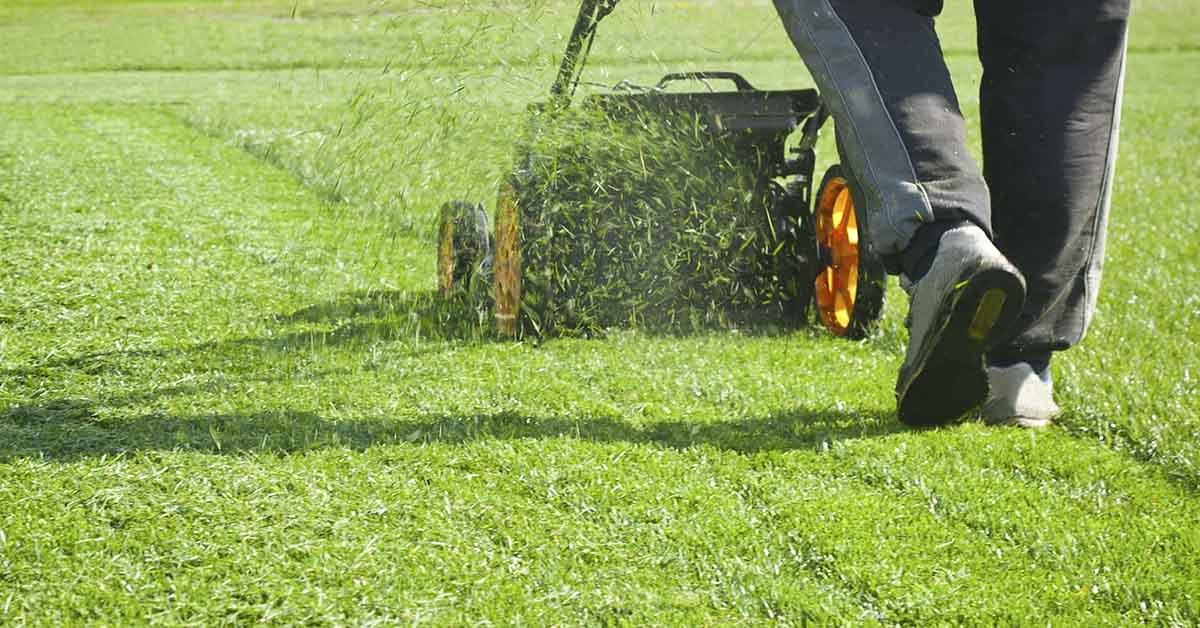 lawn being mowed