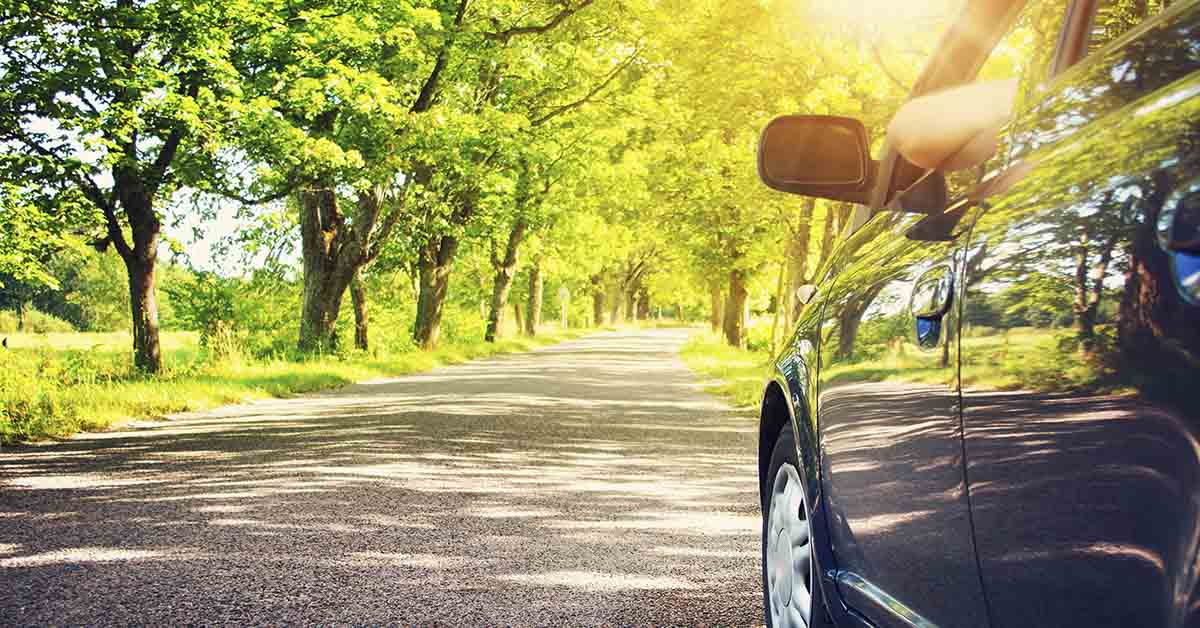 car driving on rural road in forested area