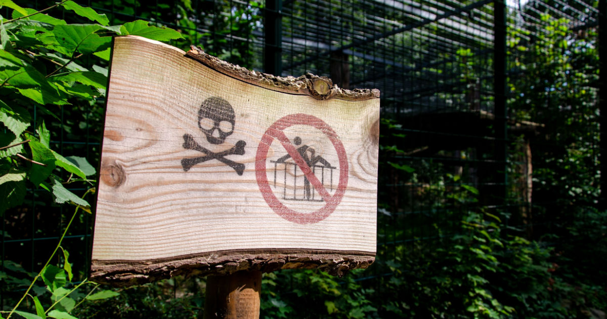 scary signs