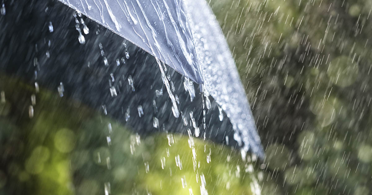 umbrella in the rain