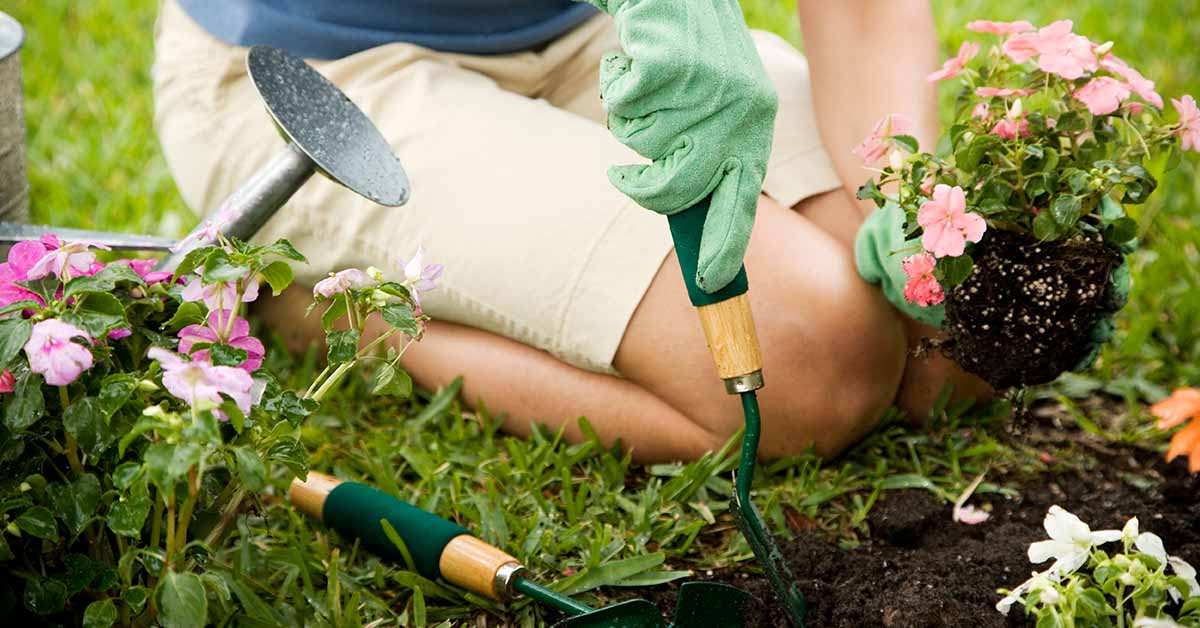 woman on knees in garden. Gardening concept