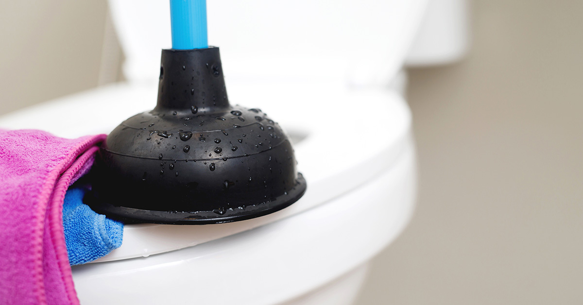 plunger on edge of toilet seat