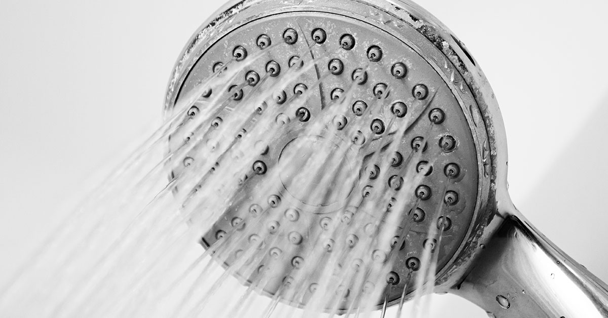 shower head