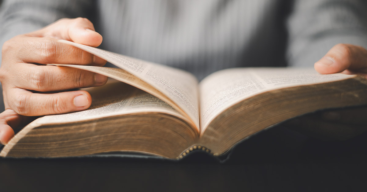 person reading open Bible