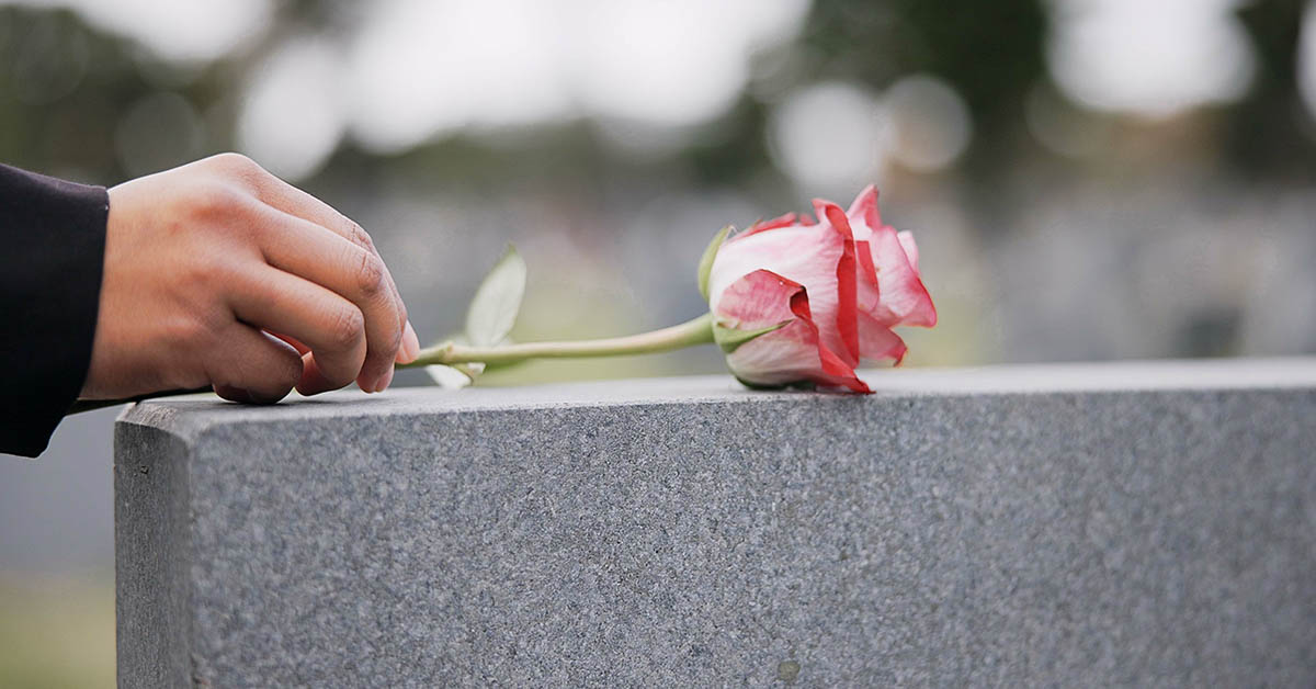rose being placed on gravestone