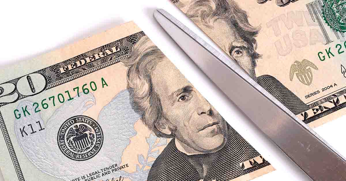 20 dollar American bill cut in half by scissors