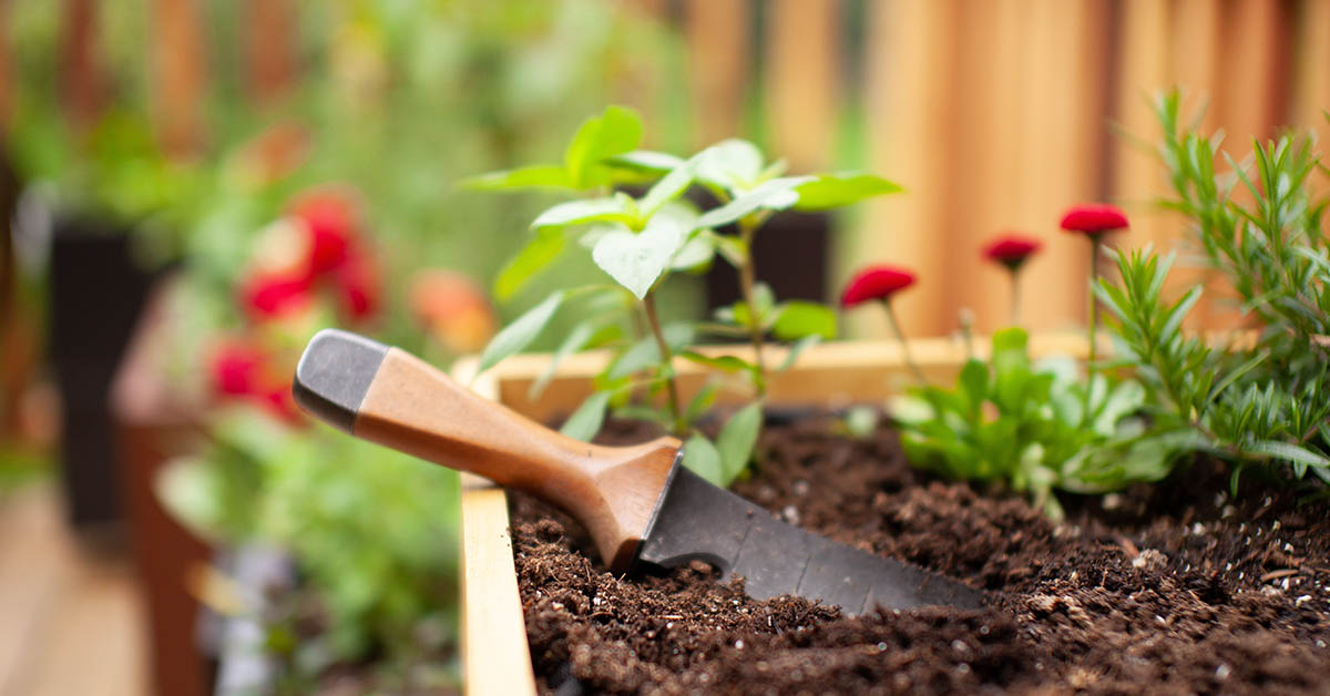 gardening tool stuck in planter soil