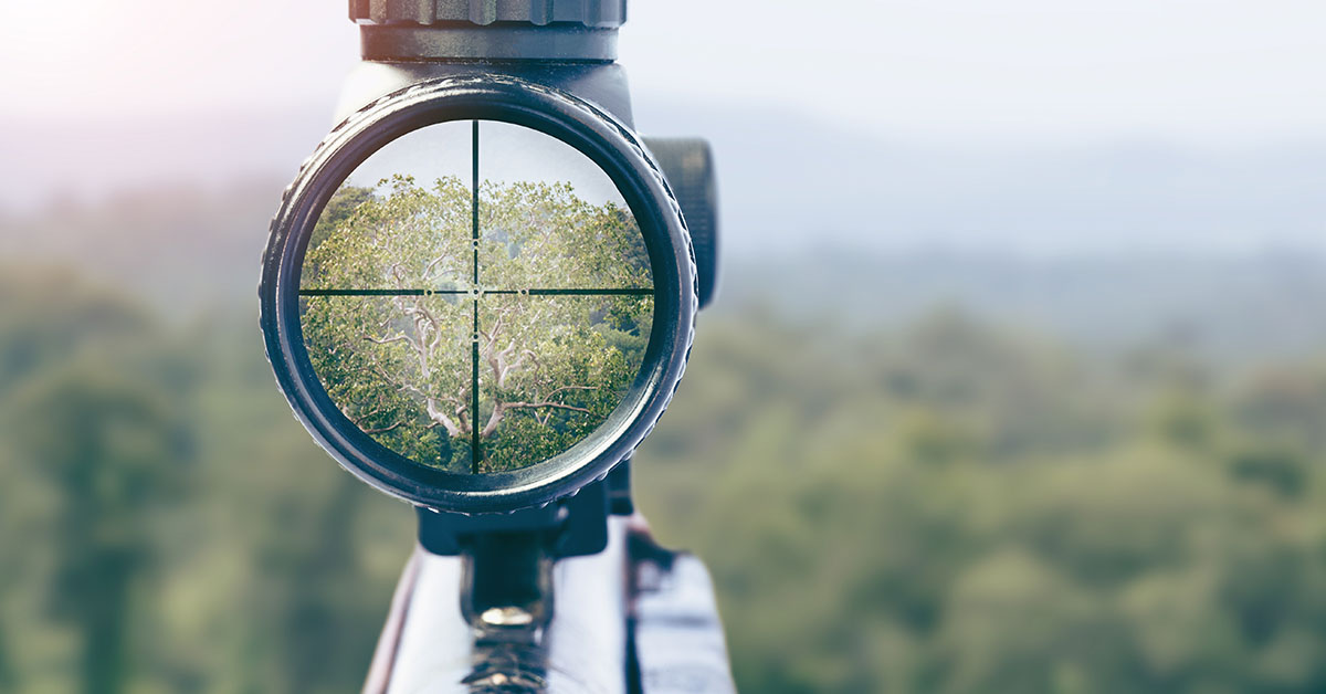 Rifle Scope