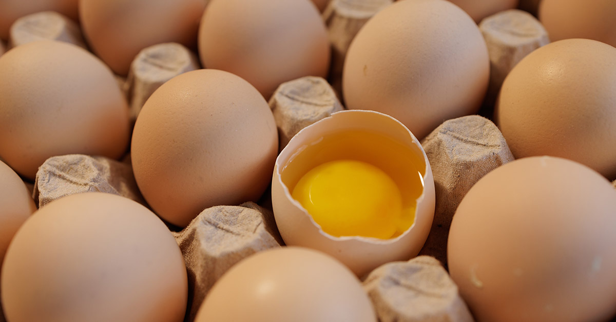 carton of eggs open revealing the eggs. One egg shell is broken revealing the yolk