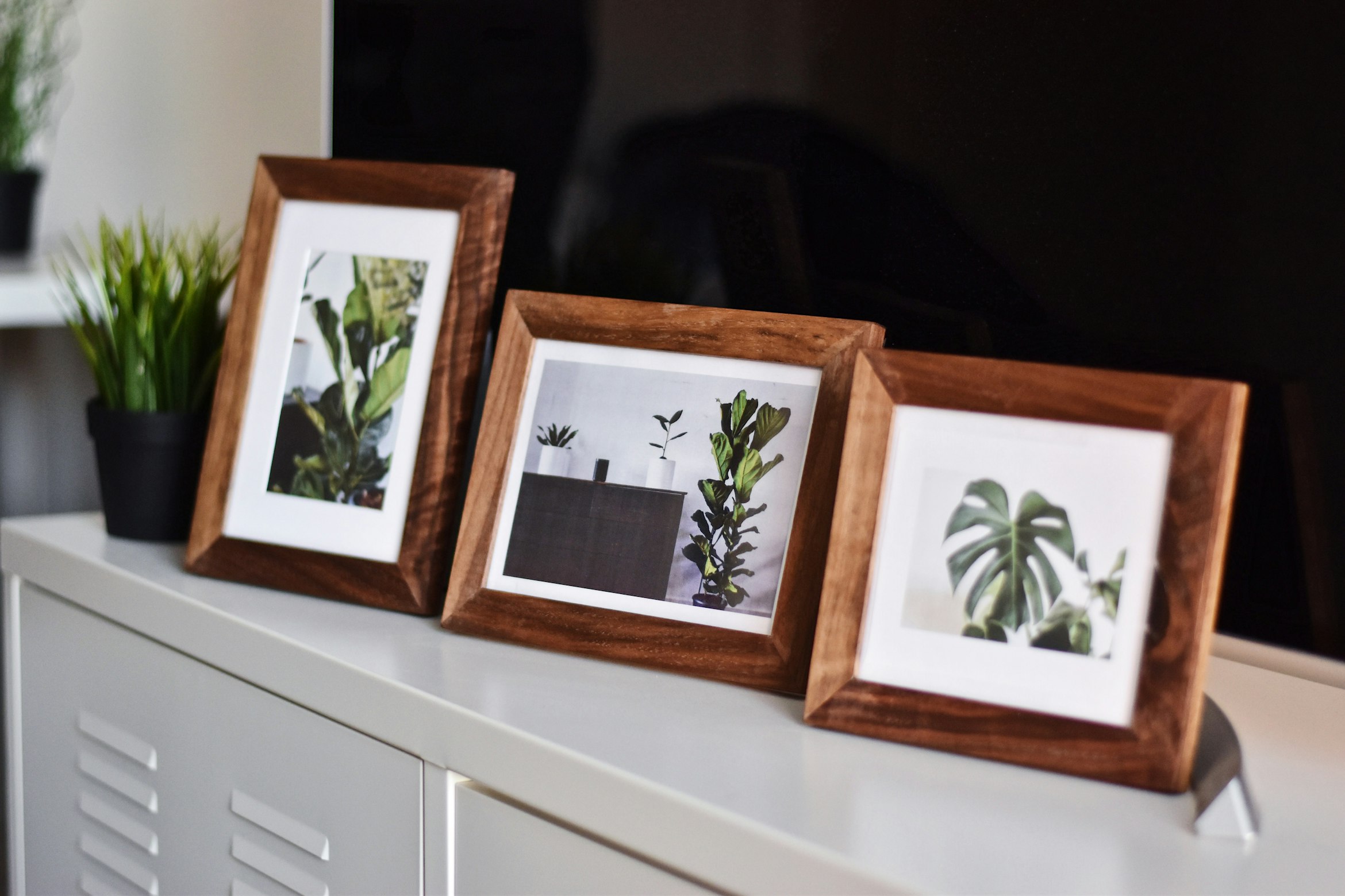 picture frames on shelf